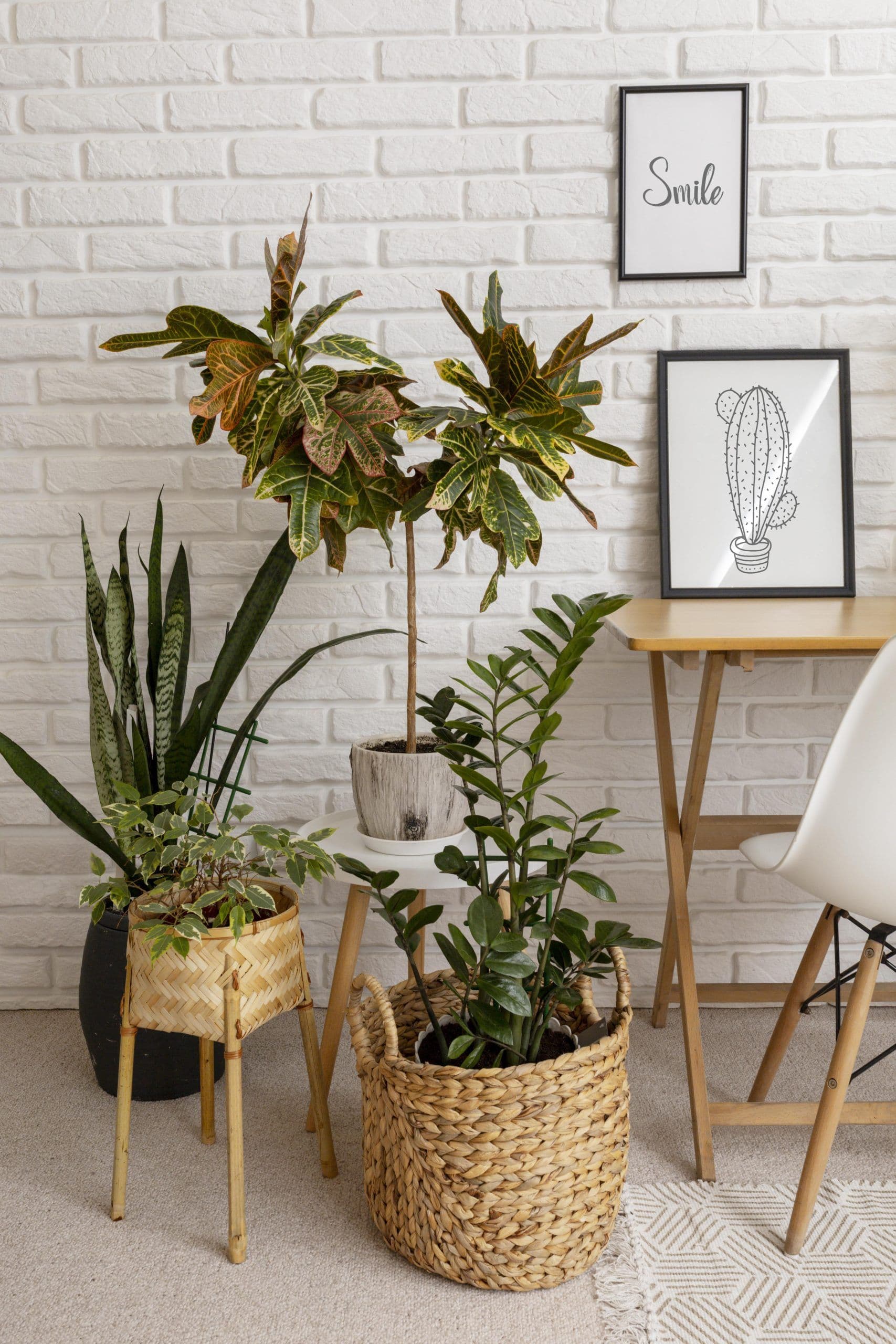 Tipps für die Installation von Bilderrahmen in Ihrem Zuhause